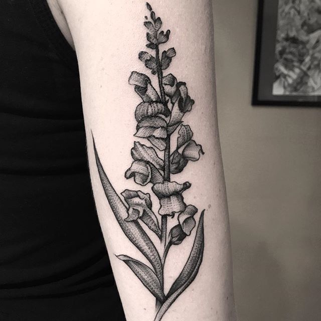 31 Snapdragon Flower Tattoos design ideas