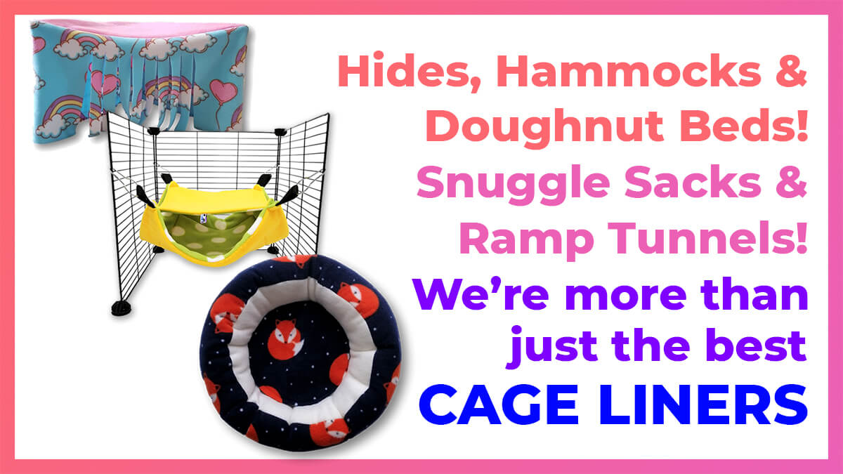 Hero Image displaying hide, hammock and doughnut bed with Text