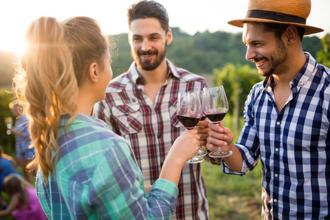 people enjoying wine in napa