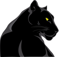 panther