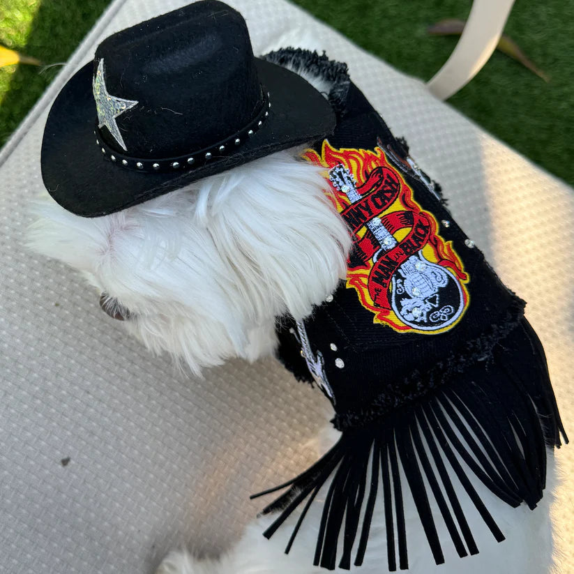 Image of Johnny Cash Harness