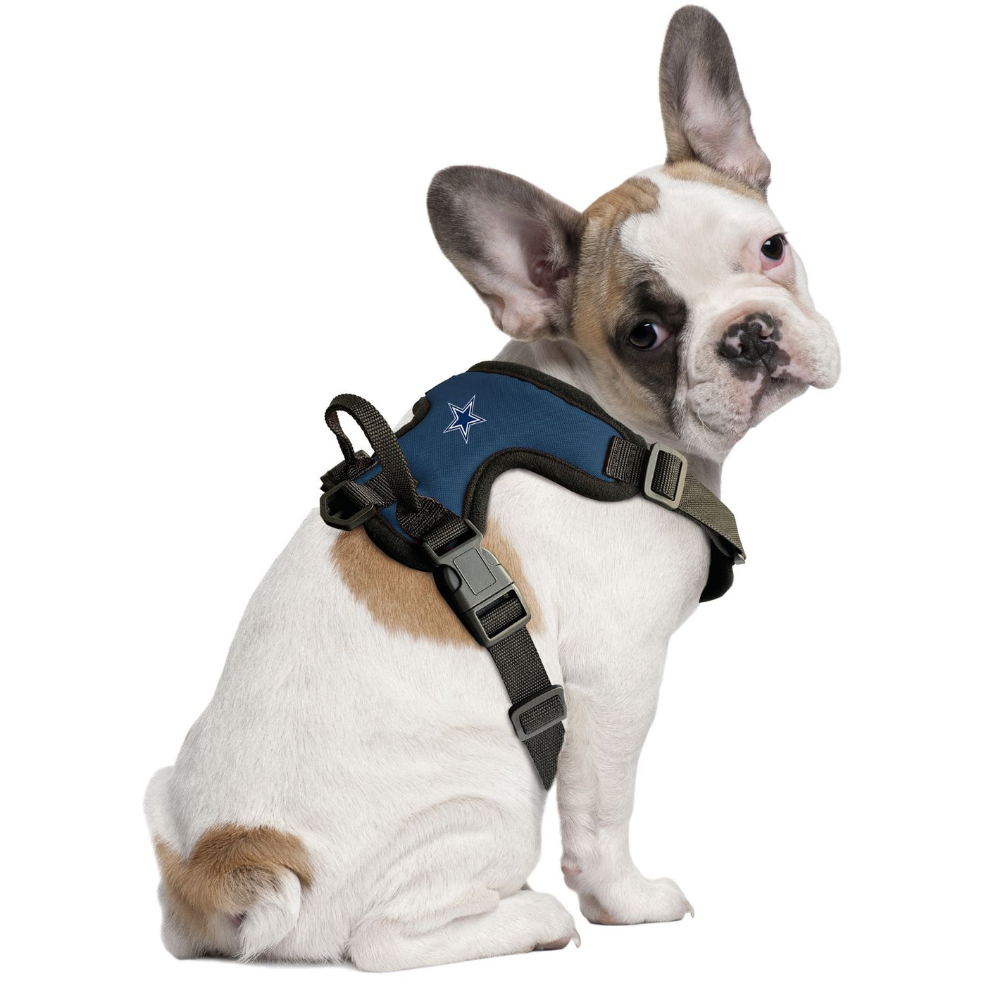 dallas cowboys harness for dogs