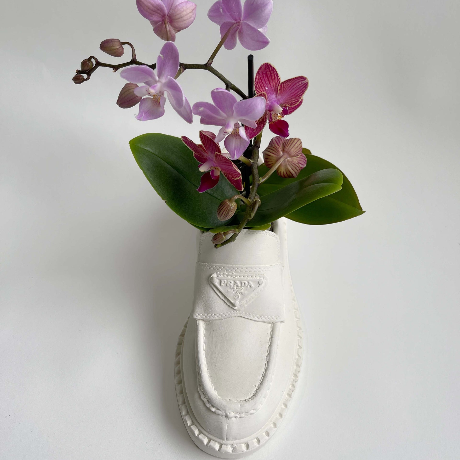 Prada Loafer Vase - Original Rose