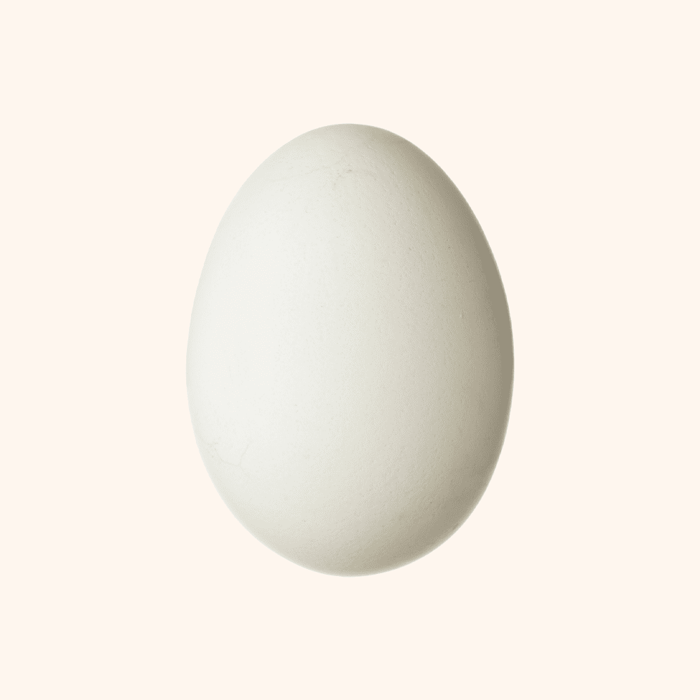 White Brown Eggs