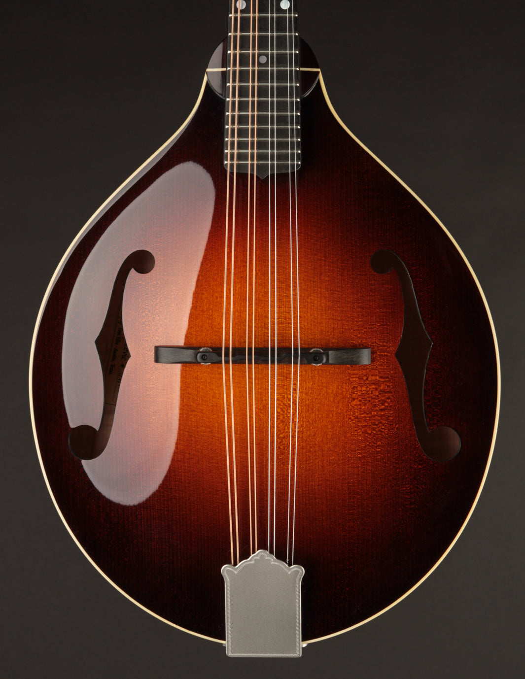 Mandolin Cafe Forum