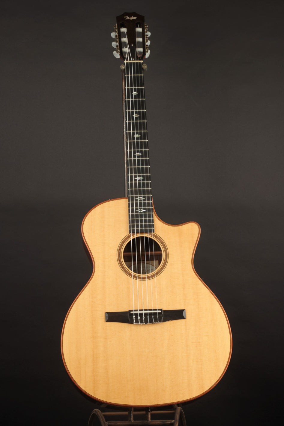 taylor 714 nylon