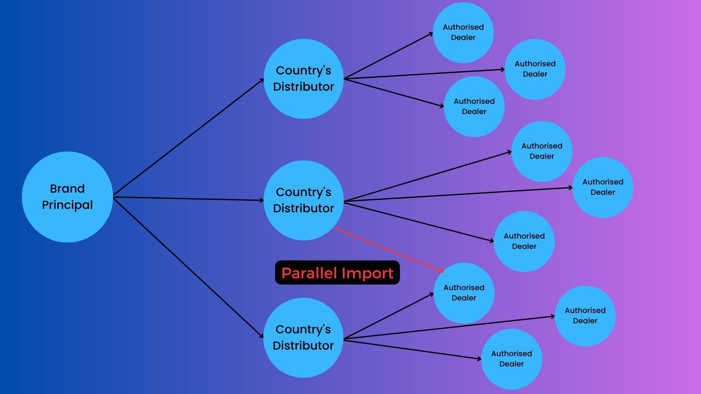 Parallel Import Explanation Graph