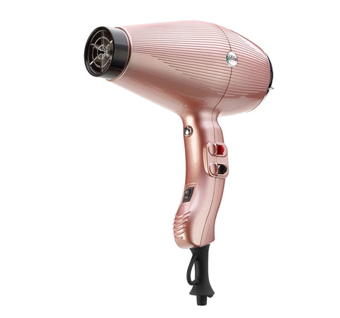 Pink Gamma Plus Aria Dual Hair Dryer