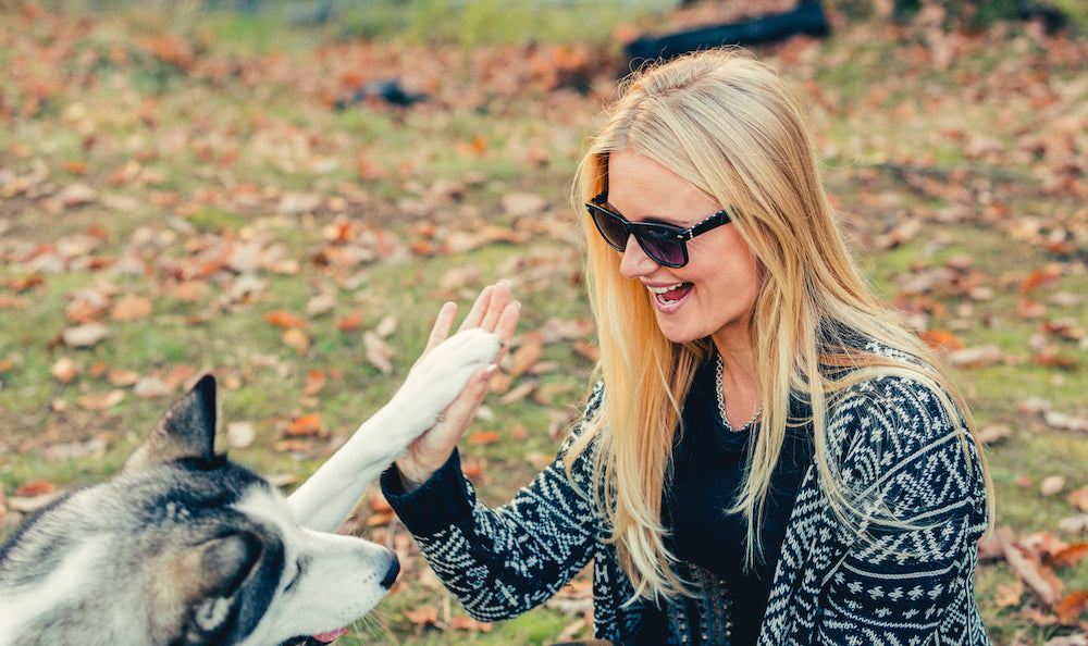 dog high five