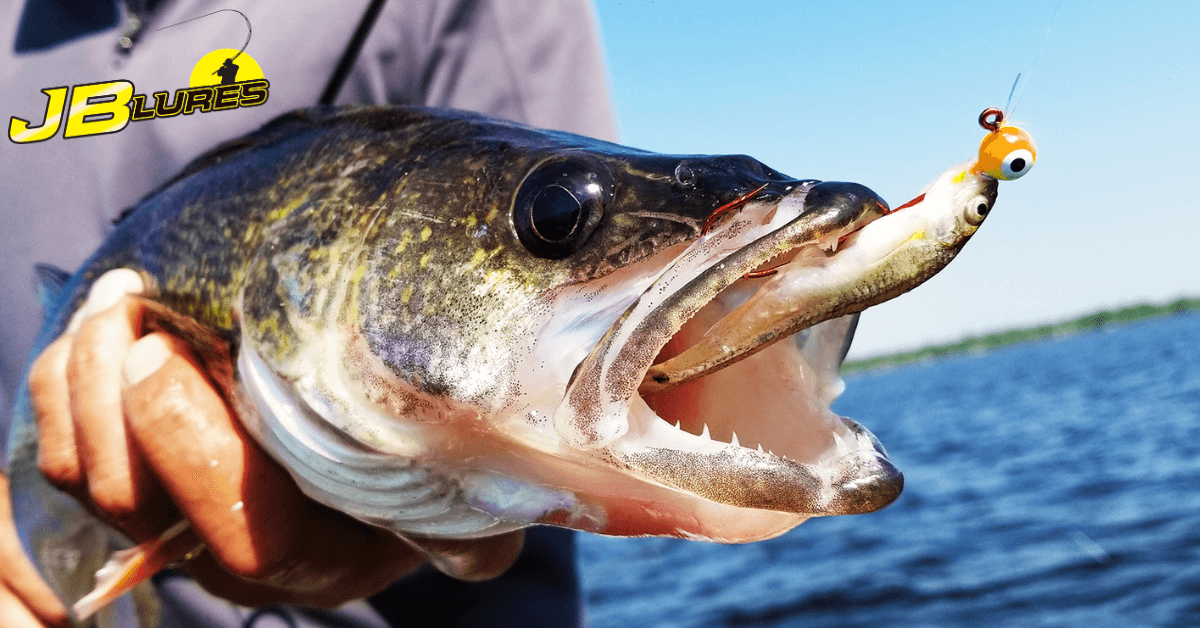 JB Lures, Premium Fishing Tackle