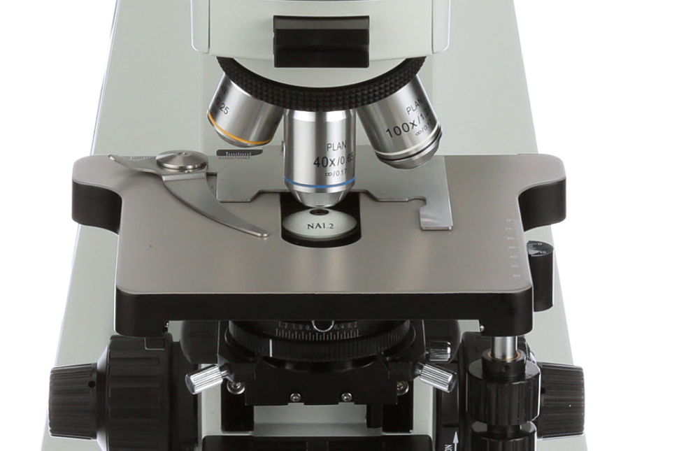 toevoegen aan uitlokken wetenschappelijk Accu-Scope EXC-400 | Face-To-Face Dual Viewing Microscope – Microscope  Central