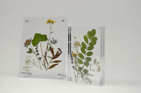Bastelidee: Blumenbild aus gepressten Blüten zaubern | EH-Designshop