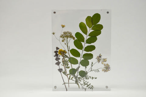 Bastelidee: Blumenbild aus gepressten Blüten zaubern