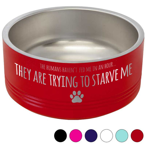 Personalized Insulated Pet Cat and Dog Bowl — Wichita Gift Company