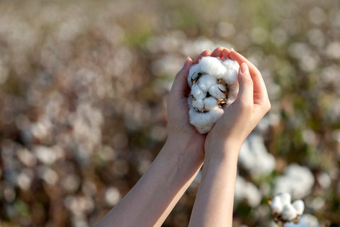 natural cotton fibers