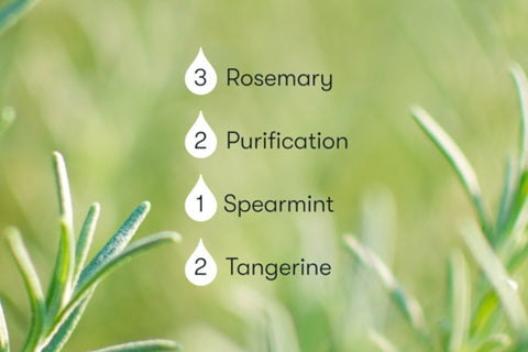 raindrops on rosemary recipe and photo by young living