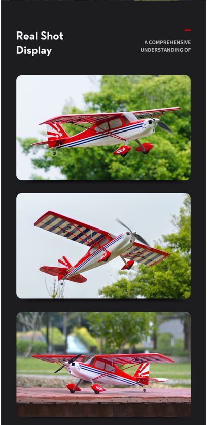 OMPHobby Decathlon 55 inch Airplane