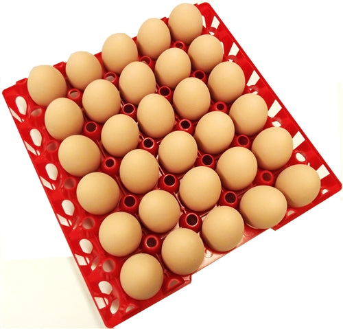 Rite Farm Products 13 Inch wire chicken egg basket