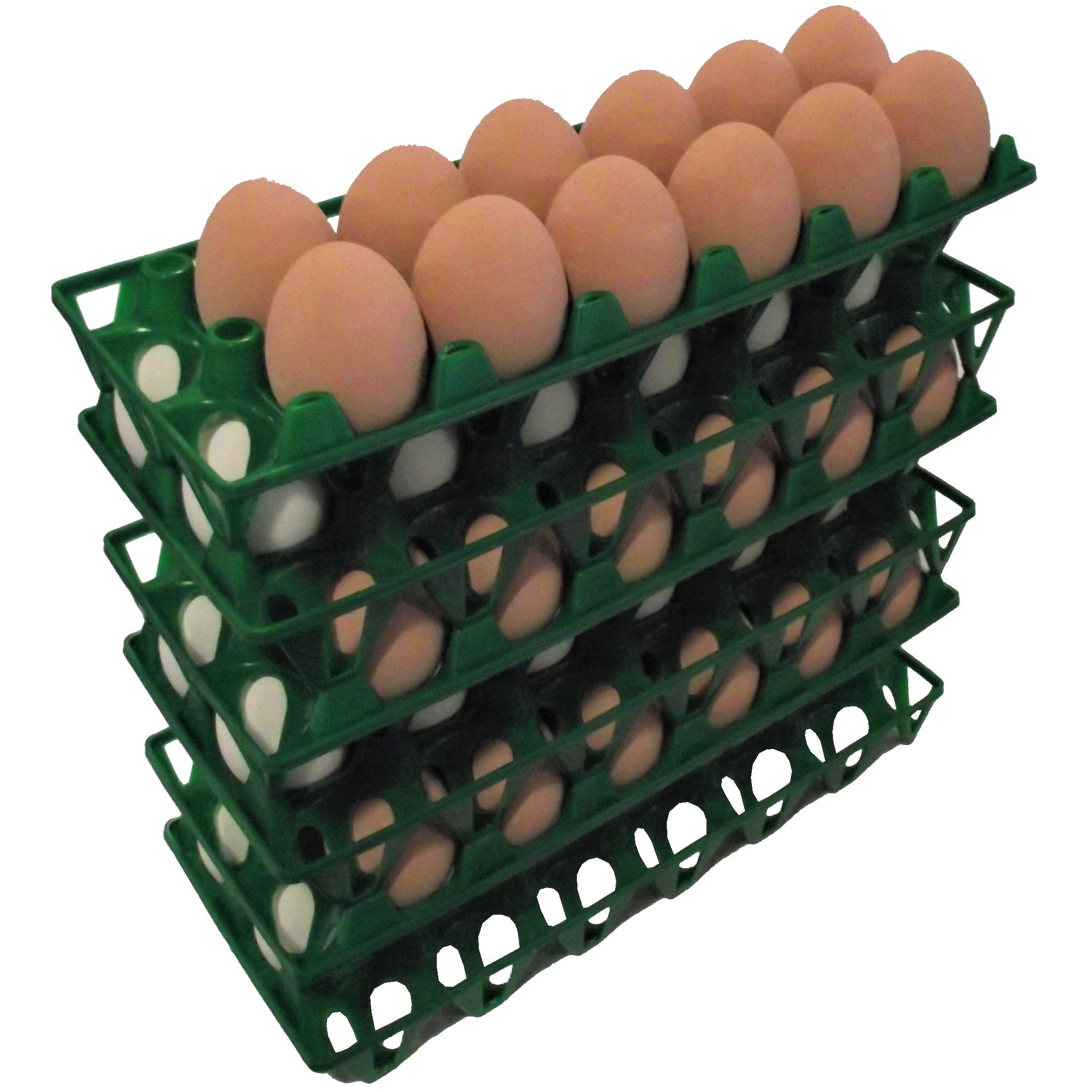 Silicone 30 Eggs Setting Tray, For Poultry Farms, Size: 1.5 X 1 Feet