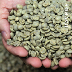 CoffeeBeans