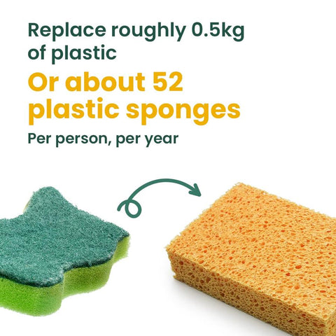 Eco Vibe COMPOSTABLE SPONGES - 2 PACK