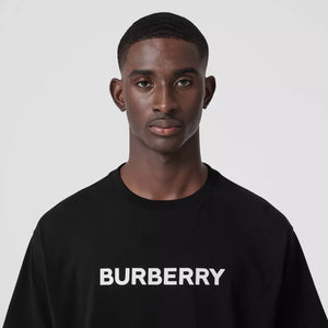 Top 79+ imagen burberry t shirt price