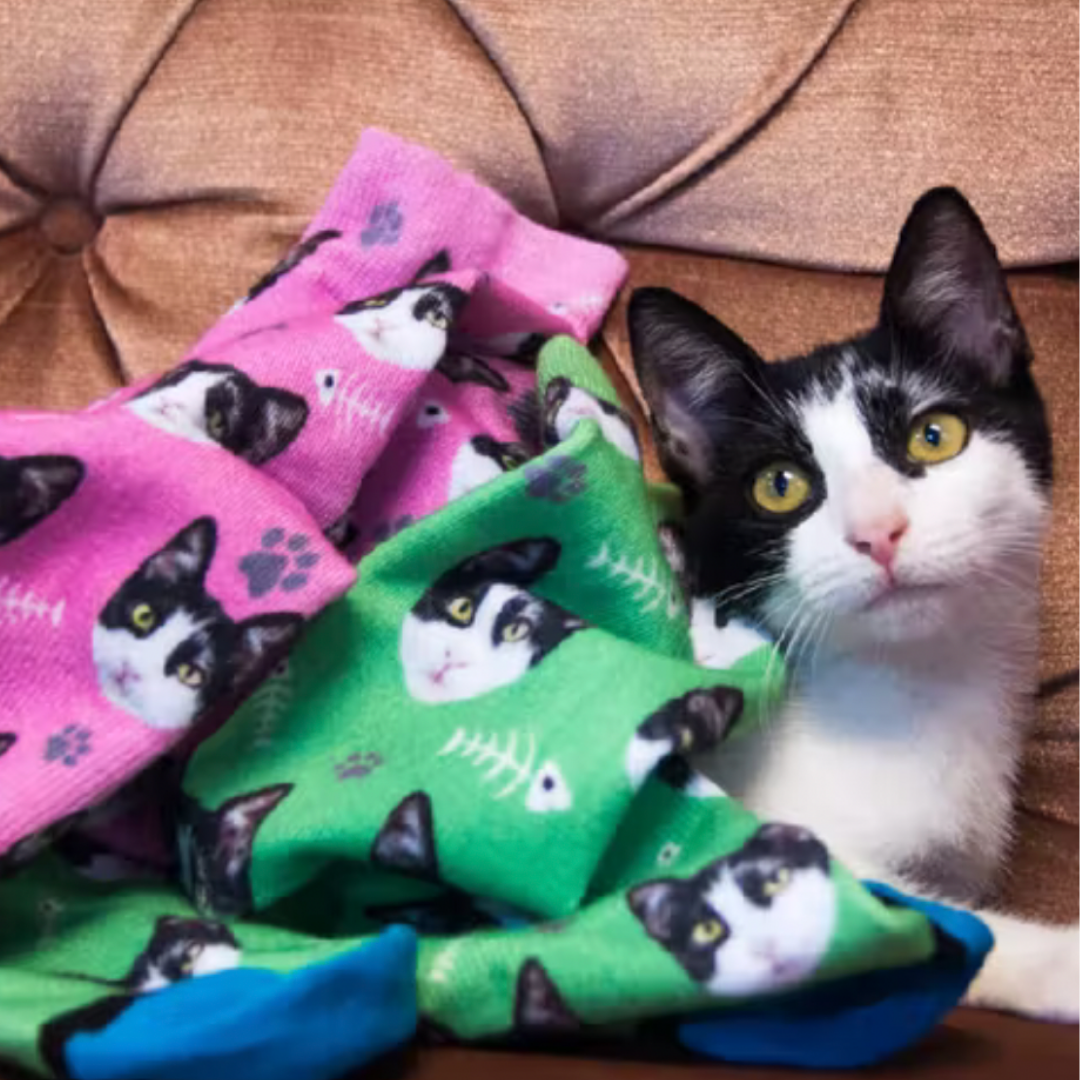 Black and white cat is covered up with different colored custom cat socks with their face on them.