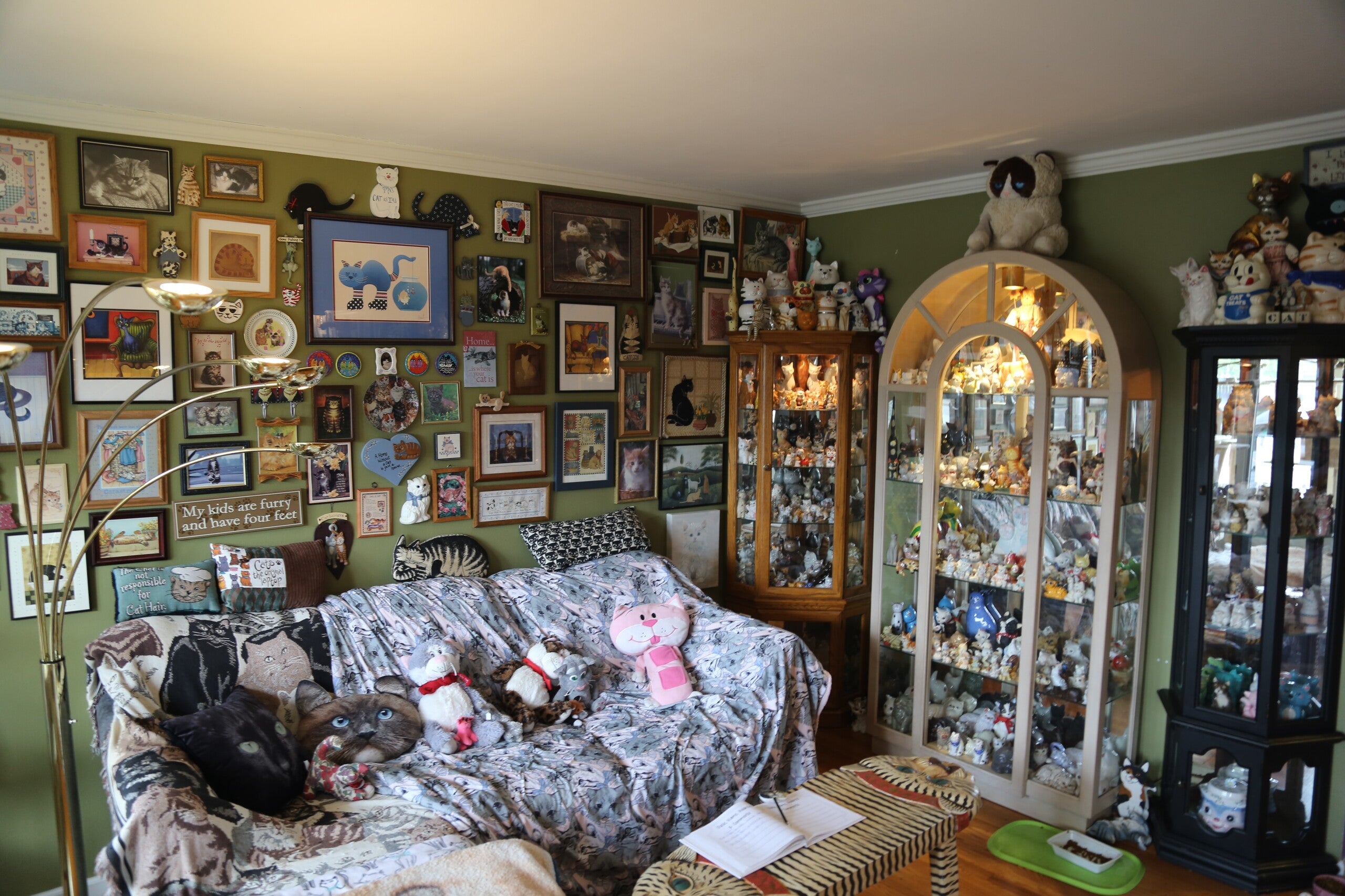 A room in the Redner's Rescued Cat Figurine Museum filled to the brim with framed cat art on the walls, a couch full of cat pillows and a display case full of cat figurines.