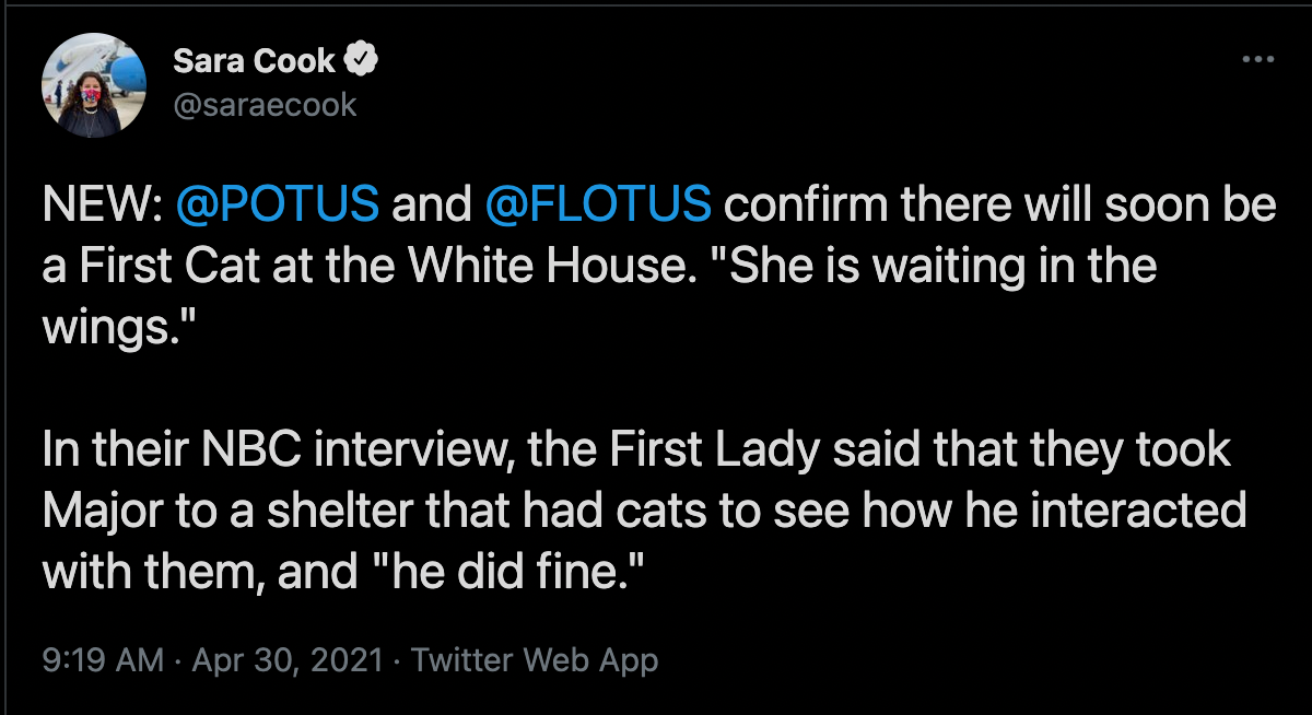 A screenshot of a tweet by journalist Sarah Cook that reads "NEW: @POTUS and @FLOTUS confirm there will soon be a First Cat at the White House. "She is waiting in the wings." In their NBC interview, the First Lady said that they took Major to a shelter that had cats to see how he interacted with them, and "he did fine.""