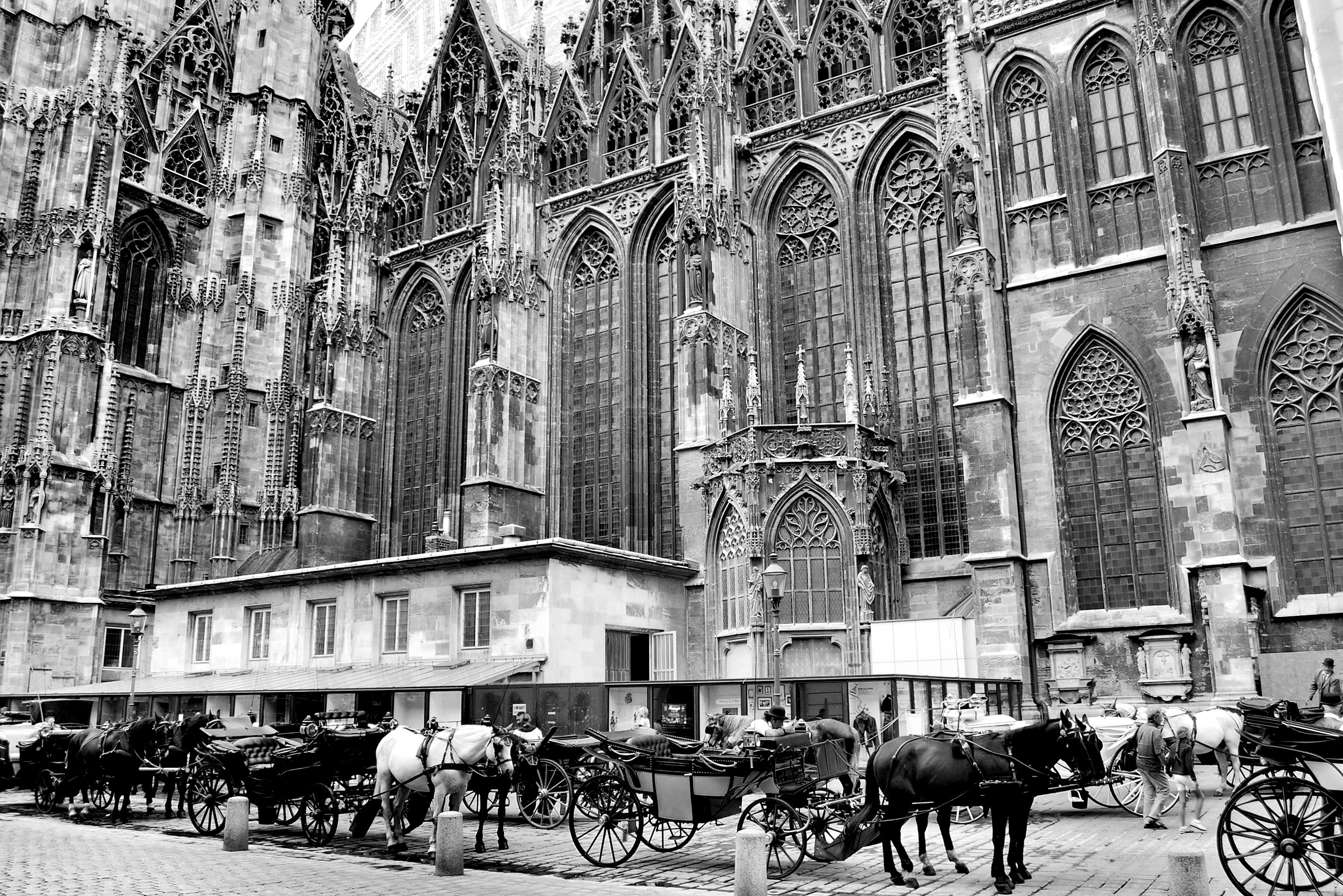 A black and white photo of horse-drawn carriages in front of a European Cathedral. 