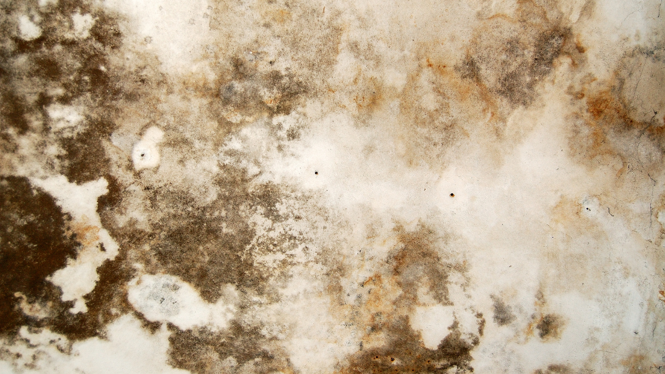 do air purifier help with mold