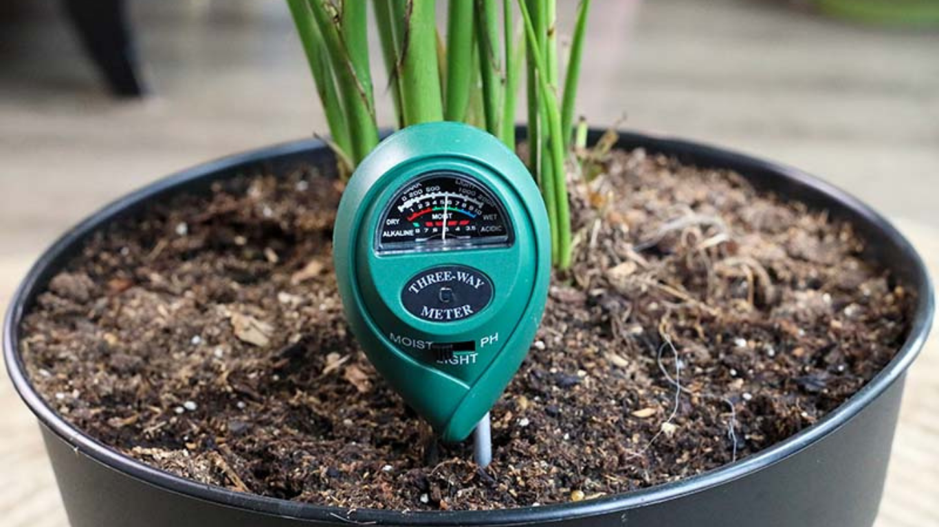 Soil Moisture Sensor Automated Plant Care Technology
