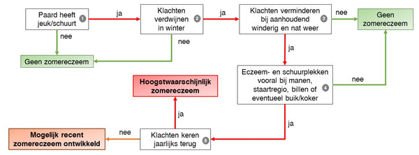 Heeft jou paard zomereczeem? Passen de symptomen (jeuk) bij deze allergie? Met de zomereczeemcheck kun je dit controleren.