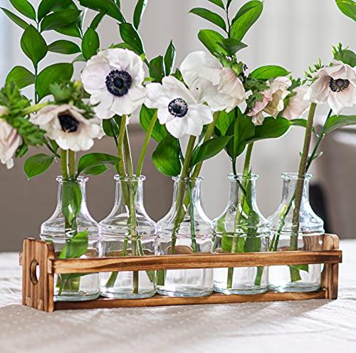 Le'raze Beautiful Glass Flower Vase with Wooden Plant Stand India