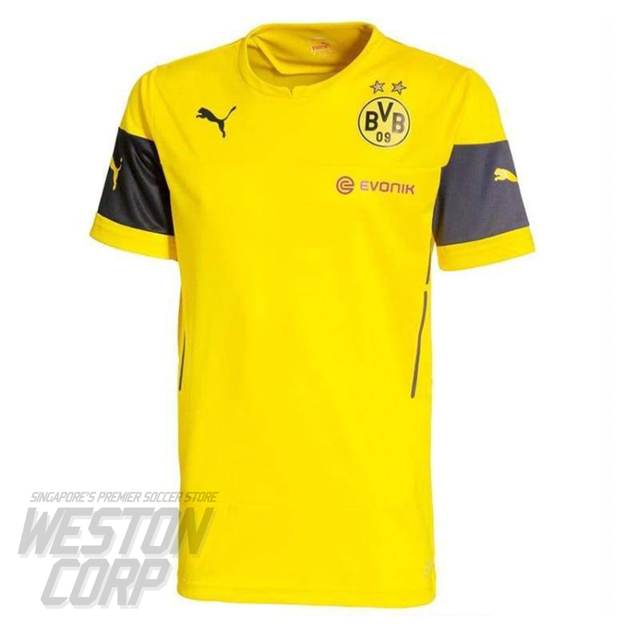 Dortmund Adult 2014-15 SS Training Shirt