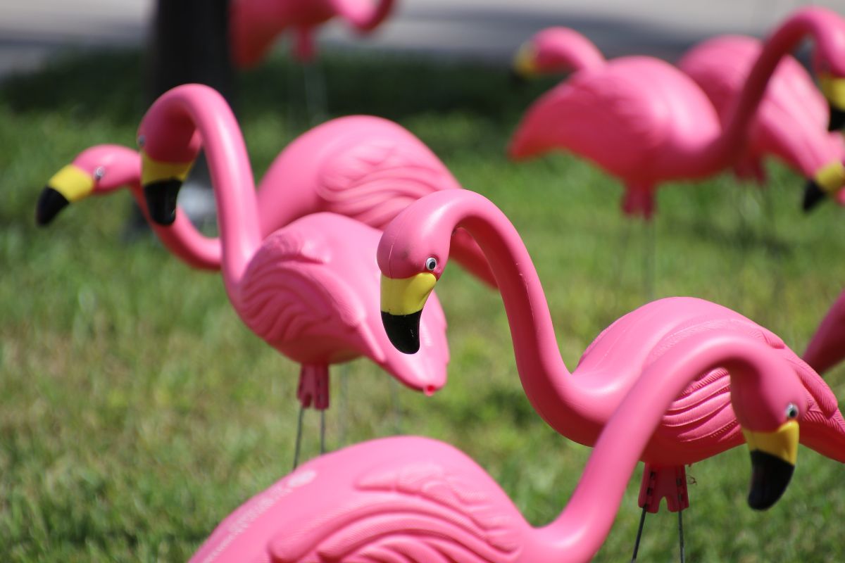 plastic pink flamingos