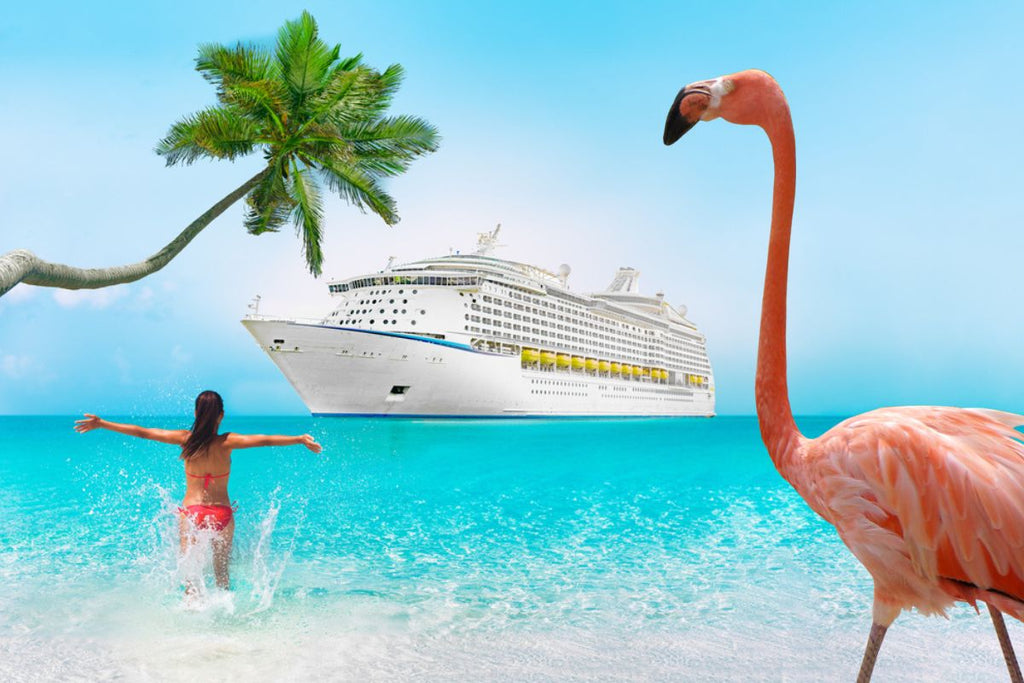 flamingo fanatics cruise