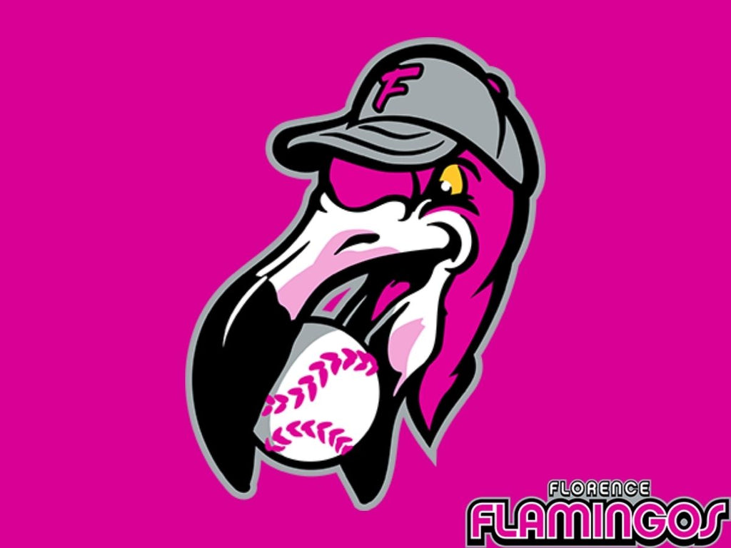 florence flamingos