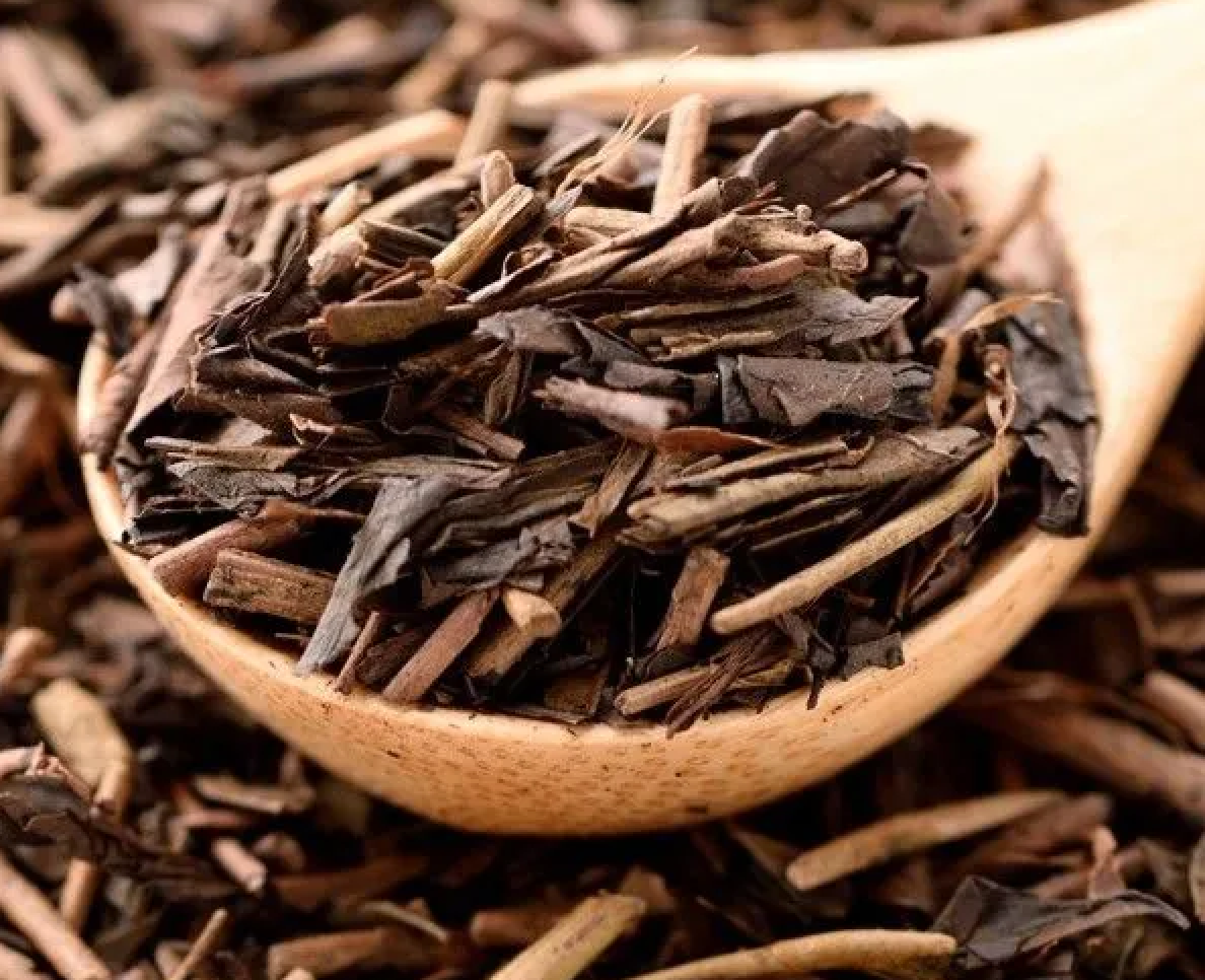 hojicha