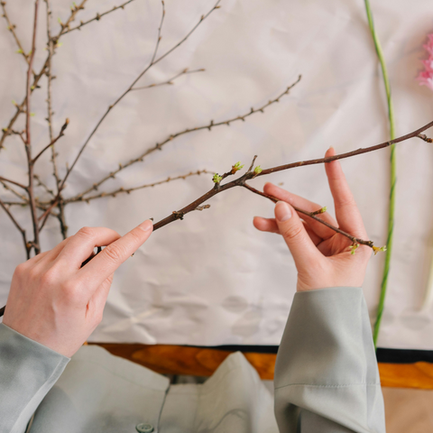 composition fleurs ikebana
