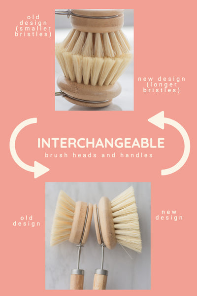 interchangeable brushes