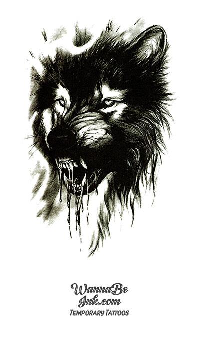Free Growling Wolf Photos and Vectors