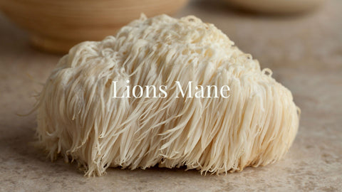 lions mane