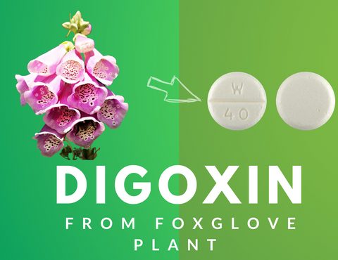 digoxin from foxglove plant