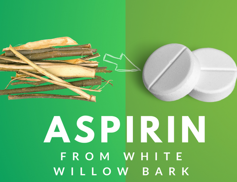 aspirin from white willow bark
