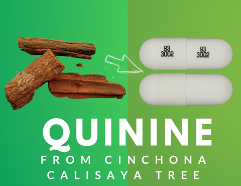 quinine from Cinchona Calisaya tree