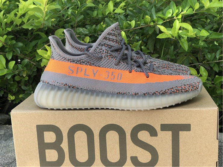 beluga 350 reflective