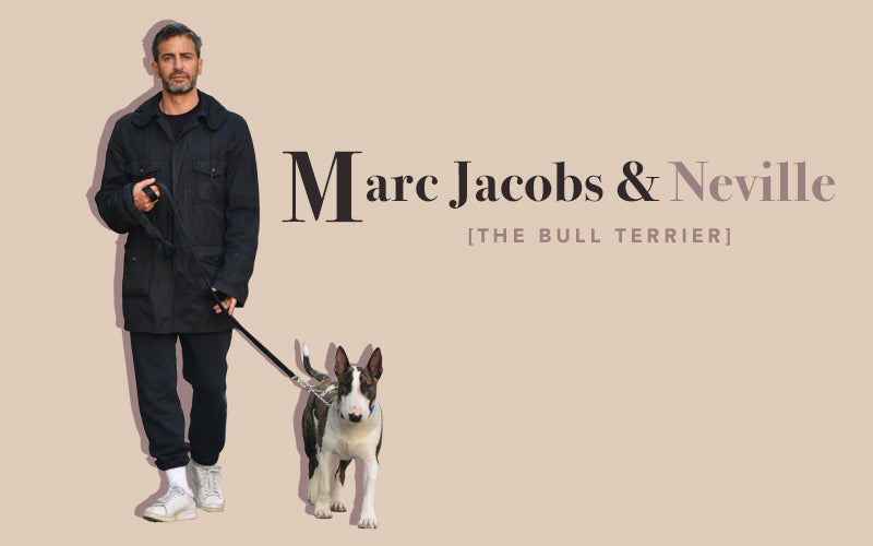 At Home with Marc Jacobs and Neville, His Insta-Famous Bull Terrier