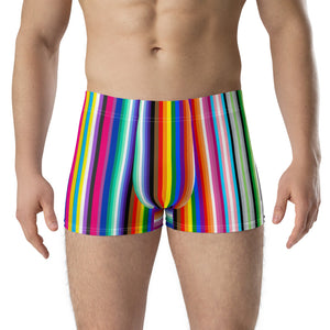 Businessman with Rainbow Underwear Stock Photo - Image of proud, pride:  40476890