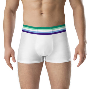  Gay Flag Of Pride Boxer Briefs Underwear For Mens